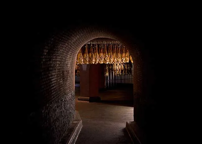 bodega1_650x464