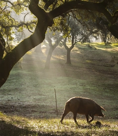 Fascinación por la naturaleza 2